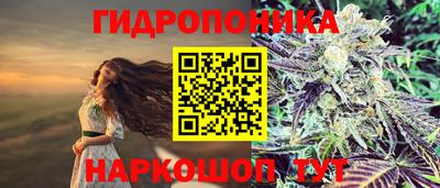 стафф Краснокаменск