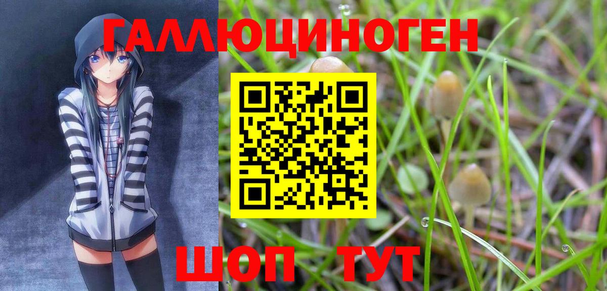 Псилоцибиновые грибы мицелий Дубна